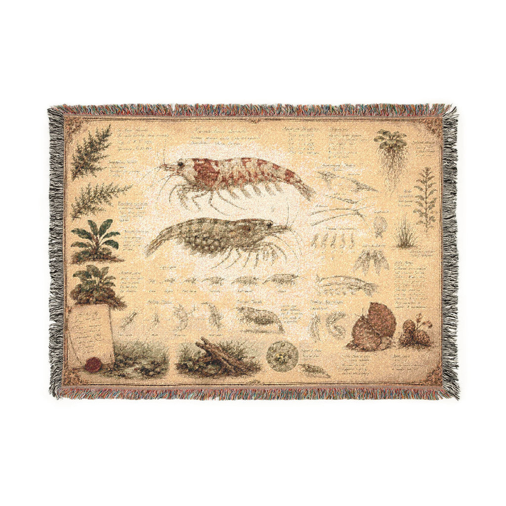 Freshwater Shrimp Natural History Blanket