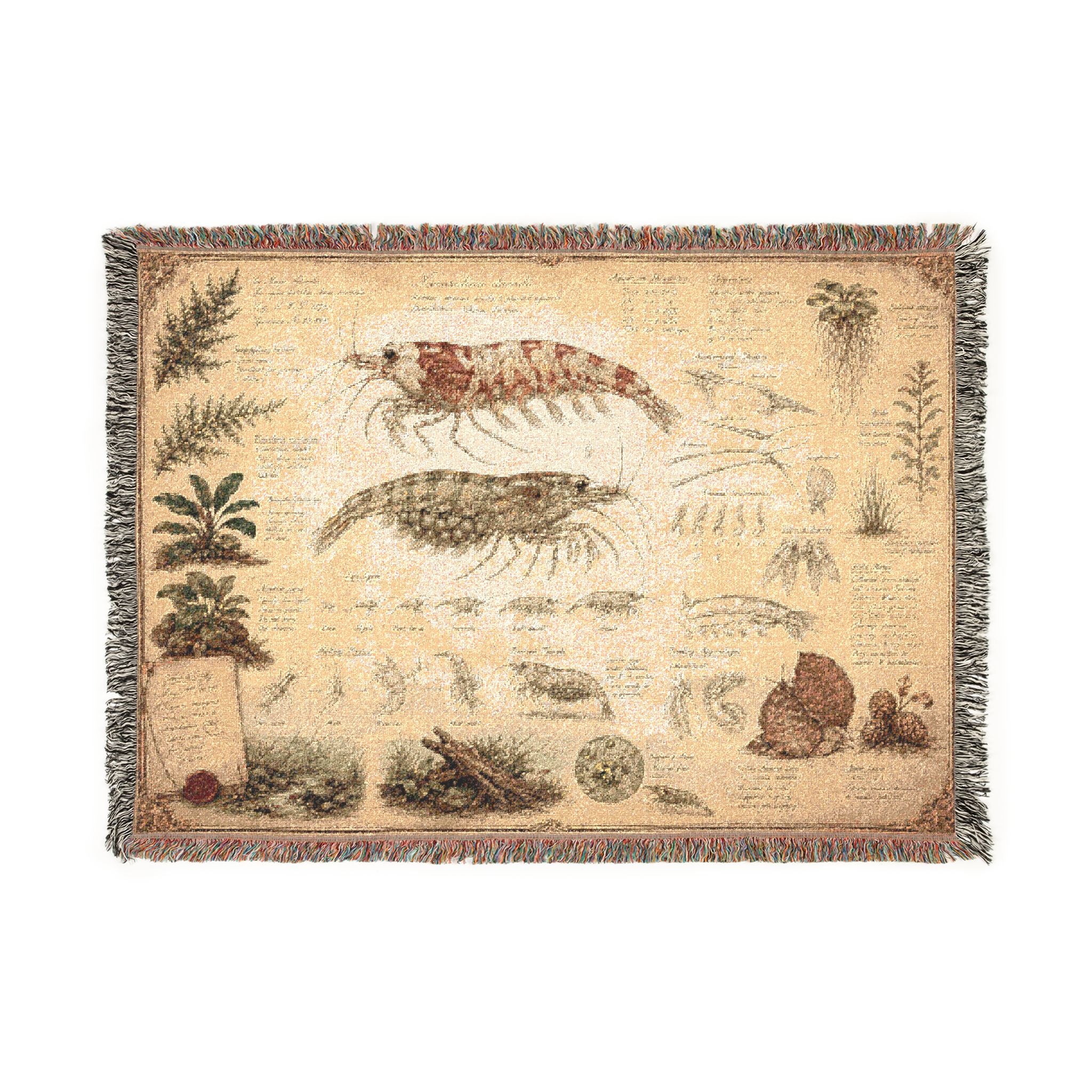 Freshwater Shrimp Natural History Blanket